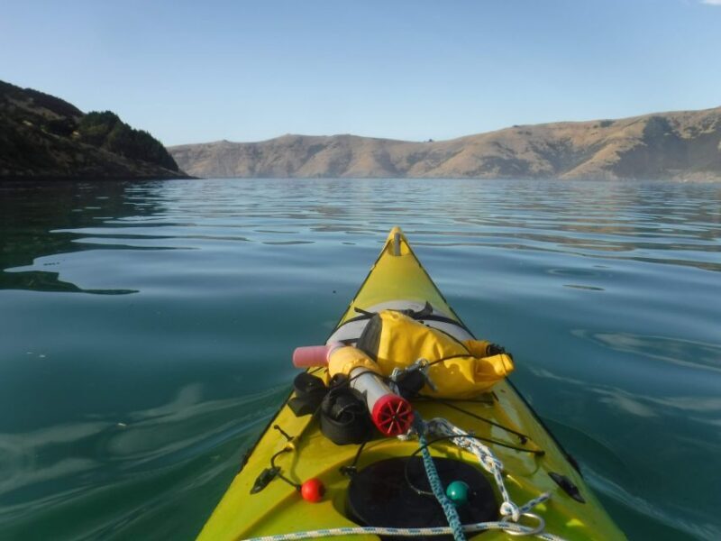 Akaroa: Guided Sunrise Sea Kayaking Tour - Final Thoughts