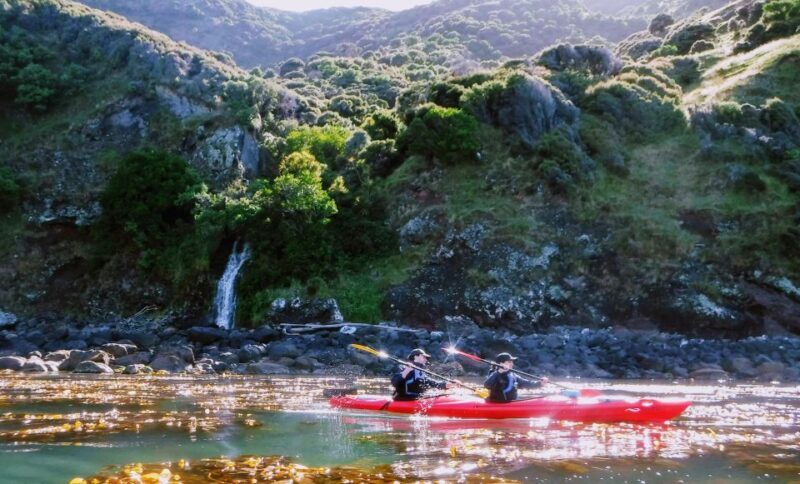 Akaroa: Guided Sunrise Sea Kayaking Tour - FAQ
