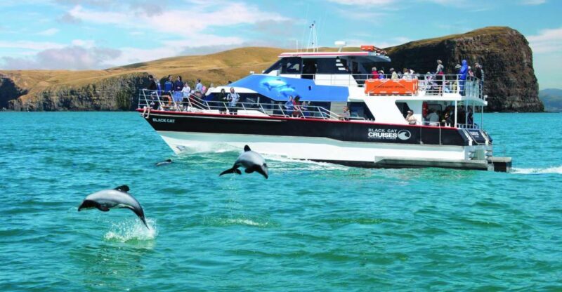 Akaroa Harbour 2-Hour Dolphin Nature Cruise - The Guides: Knowledgeable and Engaging