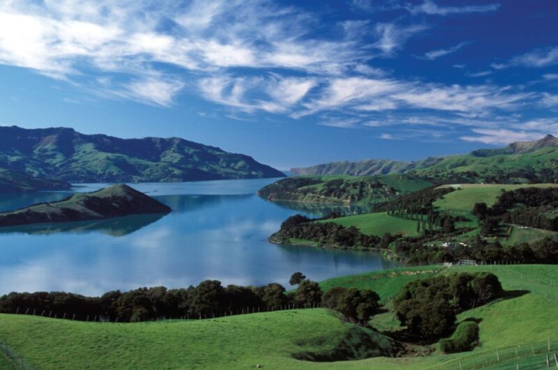 Akaroa Harbour 2-Hour Dolphin Nature Cruise - Comfort, Convenience, and Extras