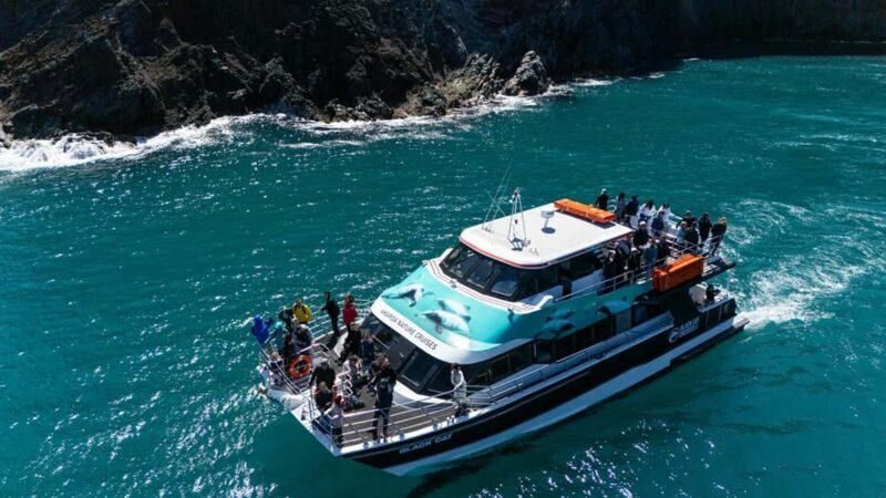 Akaroa Harbour 2-Hour Dolphin Nature Cruise - Practical Tips for Travelers