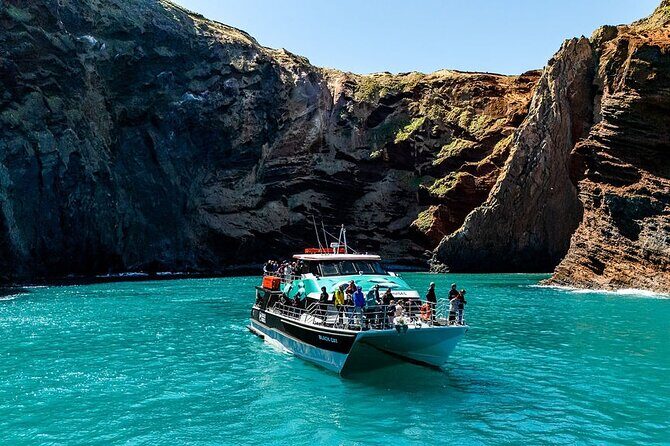 Akaroa Harbour Nature Cruise - Practical Considerations