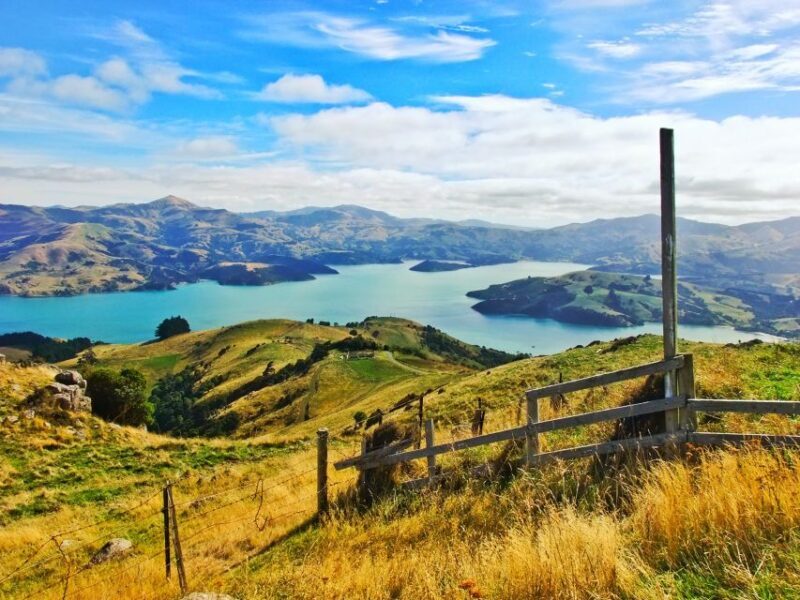 Akaroa: Pohatu Penguins Scenic Nature 2-Hour or 4-Hour Tour - Final Thoughts