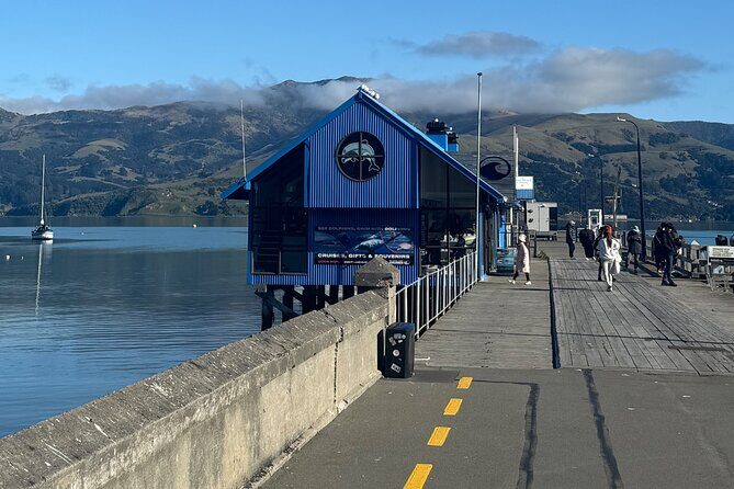 Akaroa Private Day Tour from Christchurch - The Breakdown of the Tour Experience