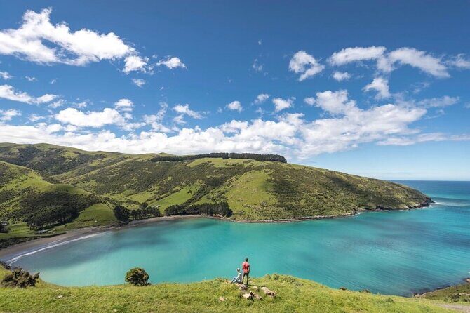 Akaroa Private Day Tour from Christchurch - What You Need to Consider