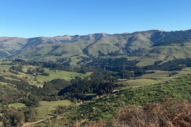 Akaroa Private Day Tour from Christchurch - FAQ