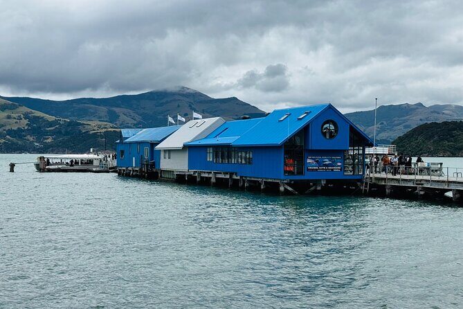 Akaroa Private Group Day Trip from Christchurch - An In-Depth Look at the Tour Itinerary