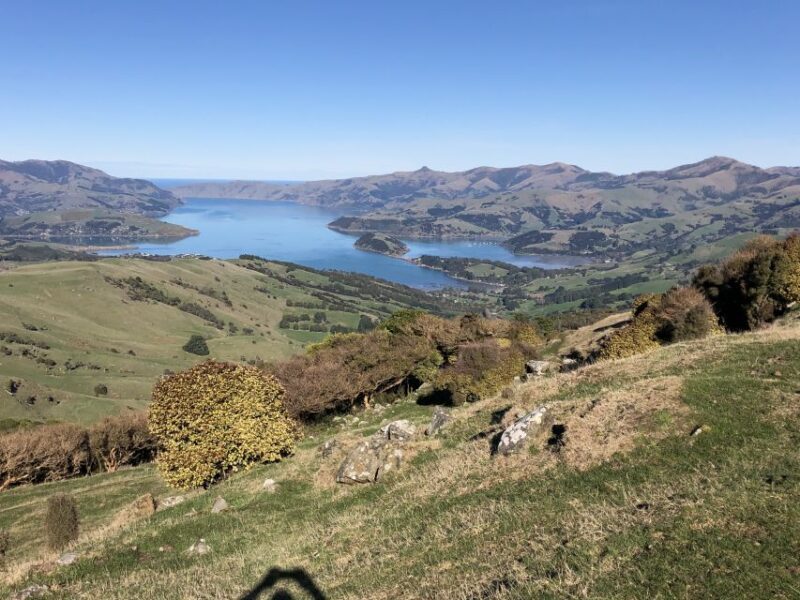 Akaroa: Scenic Coastline Wildlife Cruise - FAQ