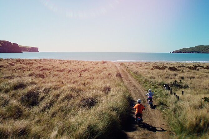 Akaroa Self Guided Electric Scooter Tour - Detailed Breakdown of the Itinerary