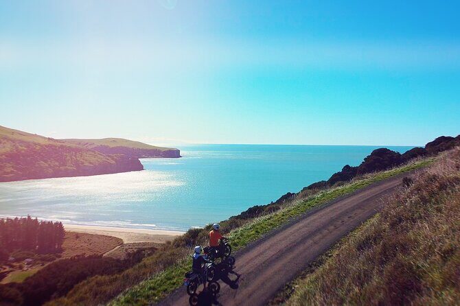 Akaroa Self Guided Electric Scooter Tour - What Reviewers Love Most