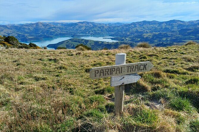Akaroa Self Guided Electric Scooter Tour - The Experience from the Review Highlights