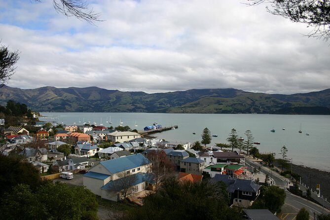 Akaroa Shore Excursion: Akaroa Harbour and Sheep Farm Local Tour - Who Will Love This Tour?