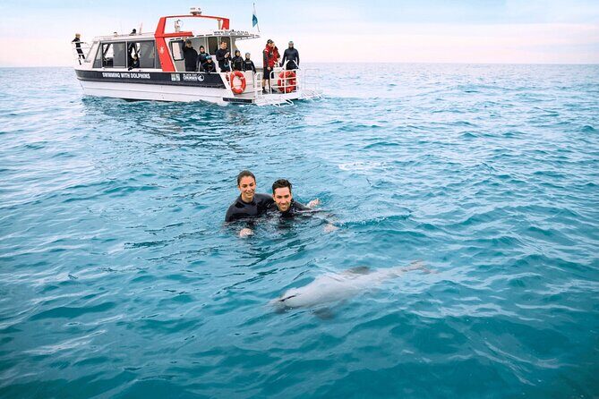 Akaroa Swim with Dolphins Tour from Christchurch - FAQ