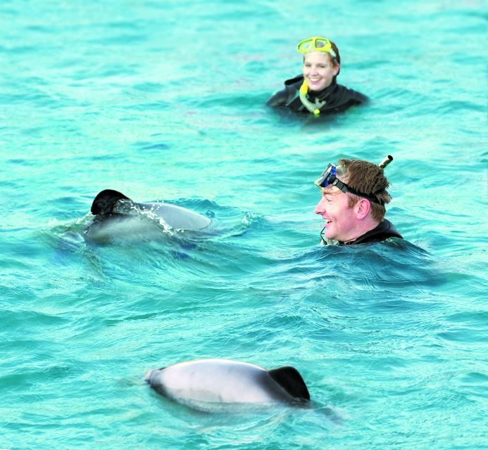 Akaroa: Swimming with Wild Dolphins Experience - Who Will Love This Tour?