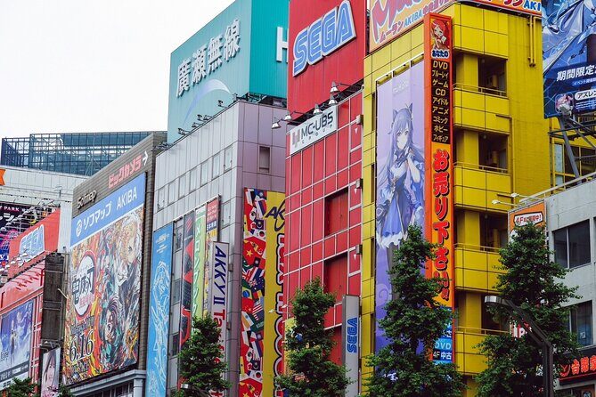 Akihabara Game Culture Tour and Princess Café Experience - FAQ