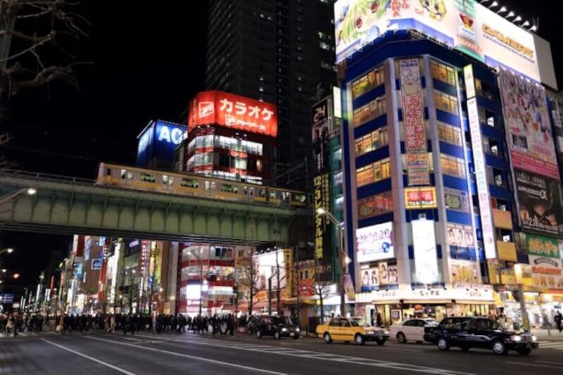 Akihabara: Go-Kart Experience with Local Guide - Experience Breakdown