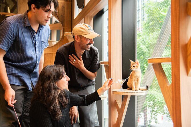 Akihabara Pop Culture and Relaxing Cat Café Tour with Local Guide - Key Points
