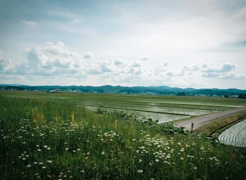 Akita: Kinmon Akita Sake Brewery Tour and Tasting - What to Expect from the Kinmon Akita Brewery Tour