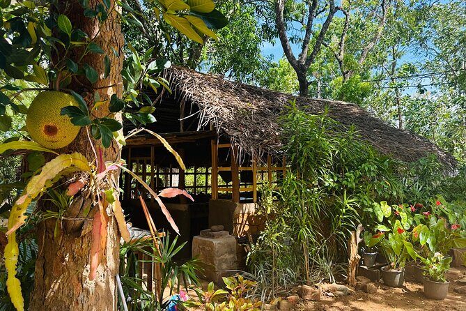 Akka Nago Cooking Class & Resturant - The Sum Up: Who Will Love This Experience?