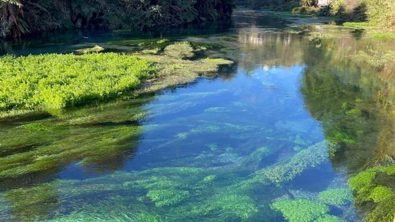 AKL: TE PUIA w buffet, Poly'sian Spa & Blue Springs Day Tour - Exploring the Itinerary in Detail