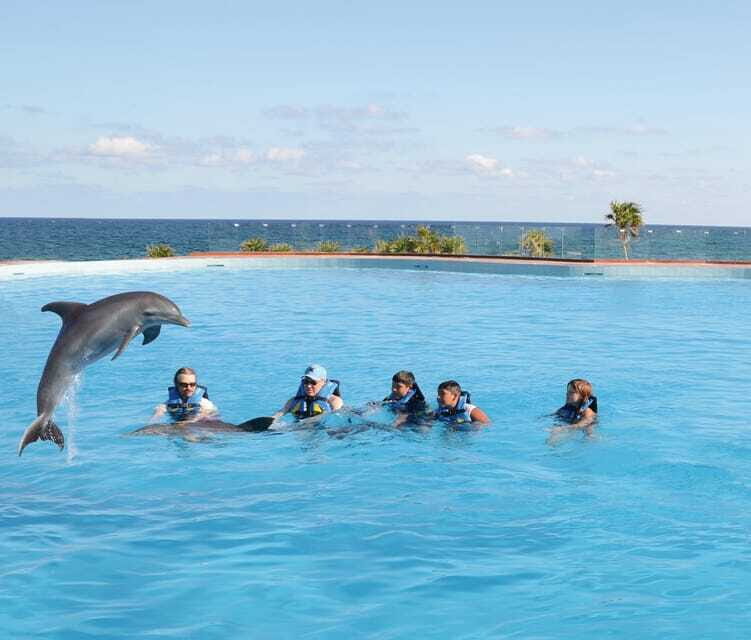 Akumal: Dolphin Encounter - FAQs