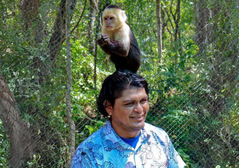 Akumal: Monkey Sanctuary, ATV circuit and Snorkeling Tour - An Honest Breakdown of the Akumal Tour Experience