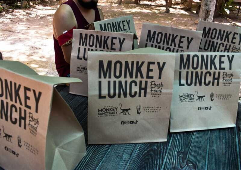 Akumal: Monkey Sanctuary, ATV circuit and Snorkeling Tour - Final Thoughts