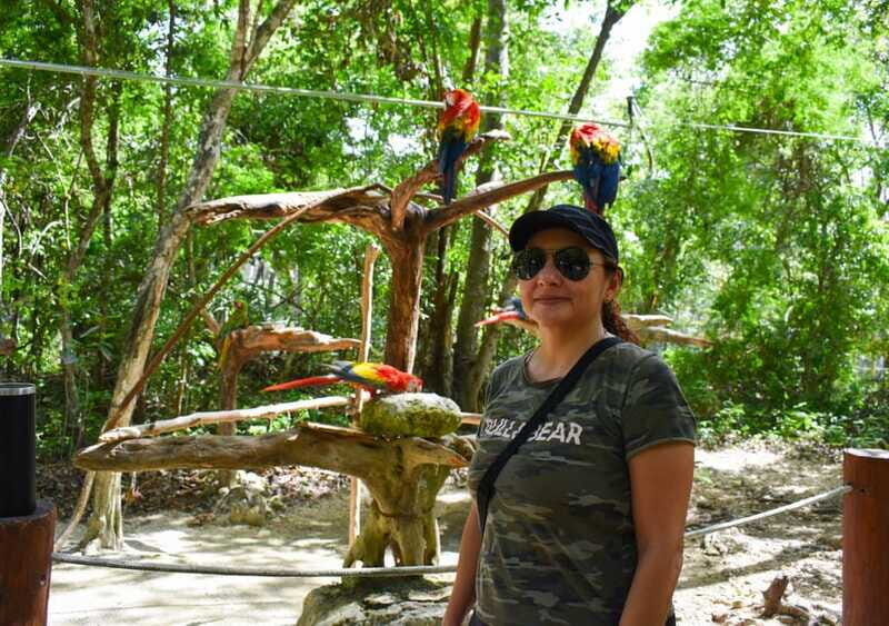 Akumal: Monkey Sanctuary, Cenote, ATV and Snorkeling Tour - Key Points