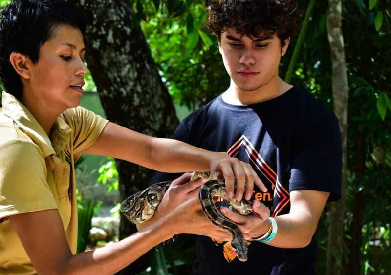 Akumal: Monkey Sanctuary Experience with ATV and Cenote - Timing, Group Size, and Practical Details