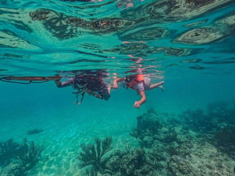 akumal-sea-turtles-with-photos