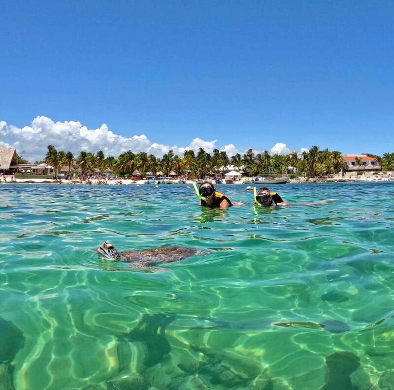 akumal-snorkeling-and-photos-with-turtles