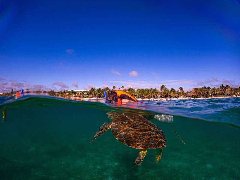akumal-snorkeling-with-local-guides