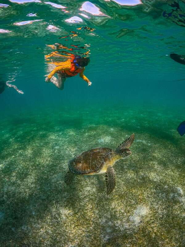 akumal-snorkeling-with-local-guides