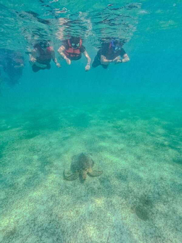 akumal-snorkeling-with-local-guides