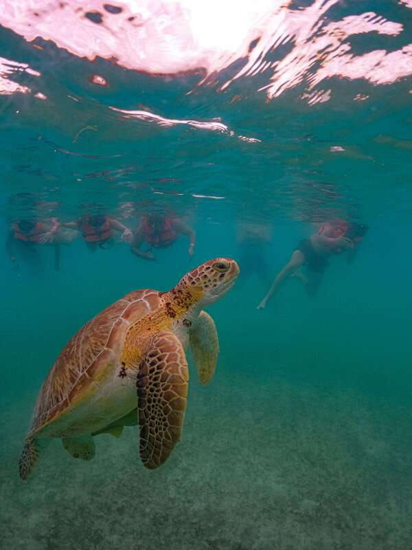akumal-snorkeling-with-local-guides