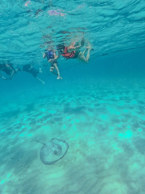 akumal-snorkeling-with-local-guides