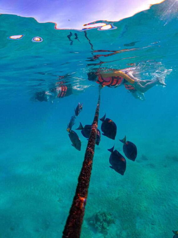 akumal-snorkeling-with-local-guides