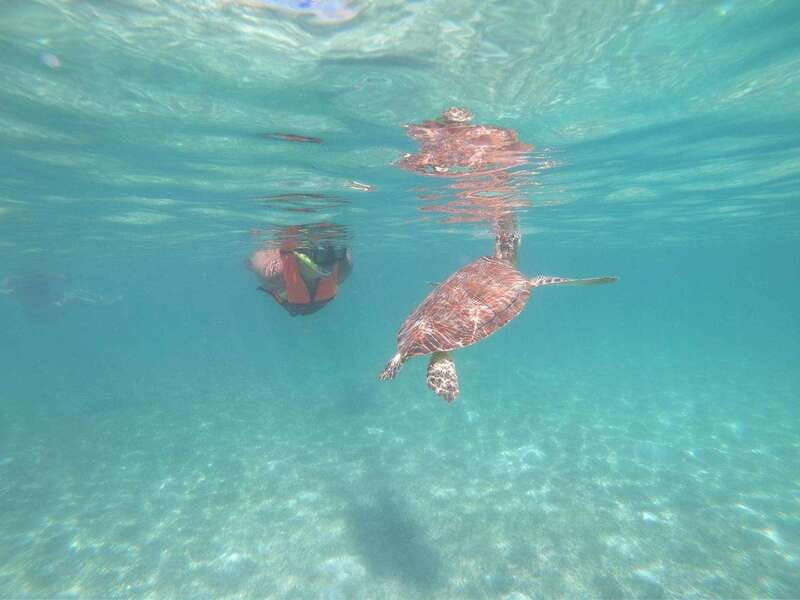 akumal-snorkeling-with-sea-turtles-in-private