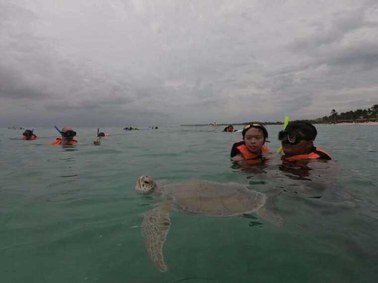 akumal-snorkeling-with-sea-turtles-in-private