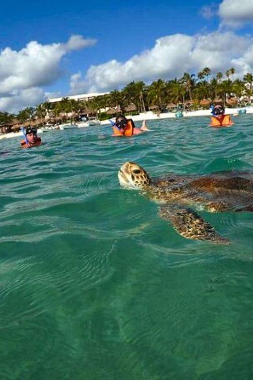 akumal-swim-with-turtles-tour