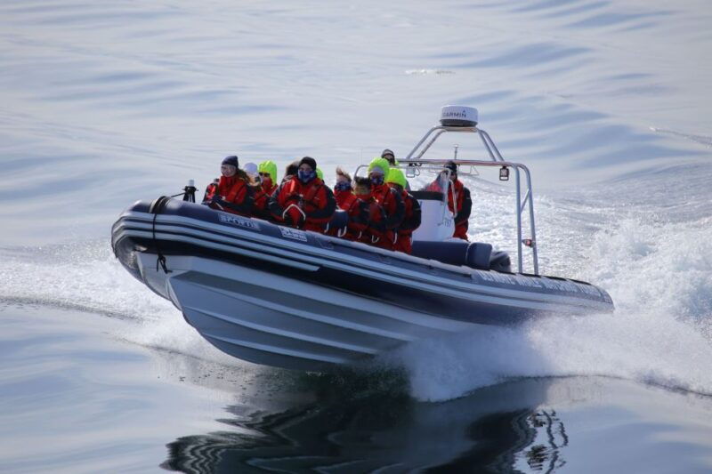 akureyri-2-hour-whale-watching-express-by-rib-speedboat
