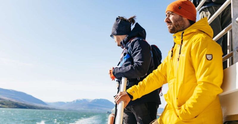 akureyri-3-hour-classic-whale-watching-tour-by-ship