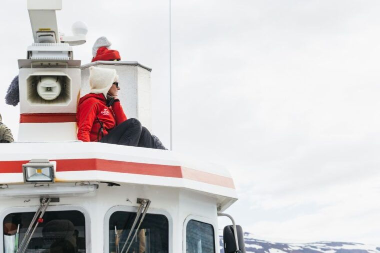 akureyri-3-hour-classic-whale-watching-tour-by-ship