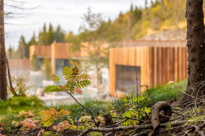 Akureyri: Admission to Forest Lagoon - Practical Tips for Your Visit