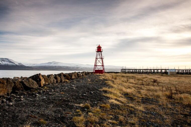 akureyri-arctic-coastline-whale-watching