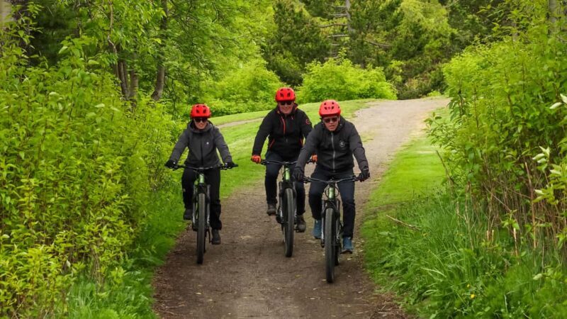 Akureyri: E-Bike Tour with Forest Lagoon Entry - Discovering Akureyri on Two Wheels