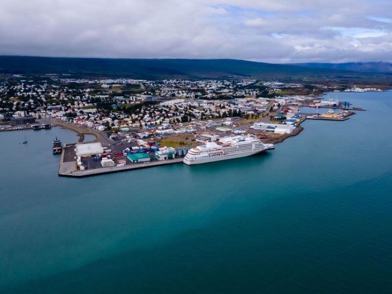 akureyri-guided-whale-watching-tour-from-the-city-center