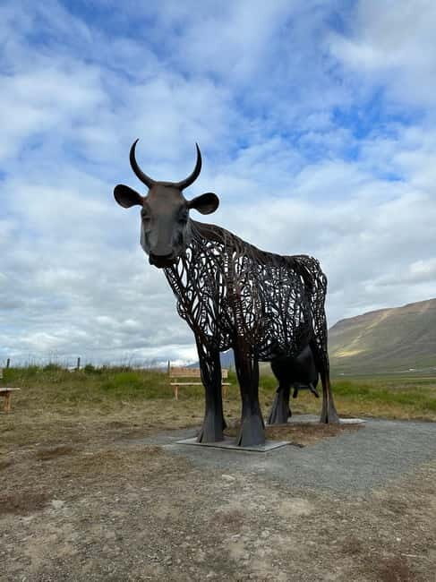 Akureyri: Museum Entry Tickets - one ticket 7 museums - Final Thoughts