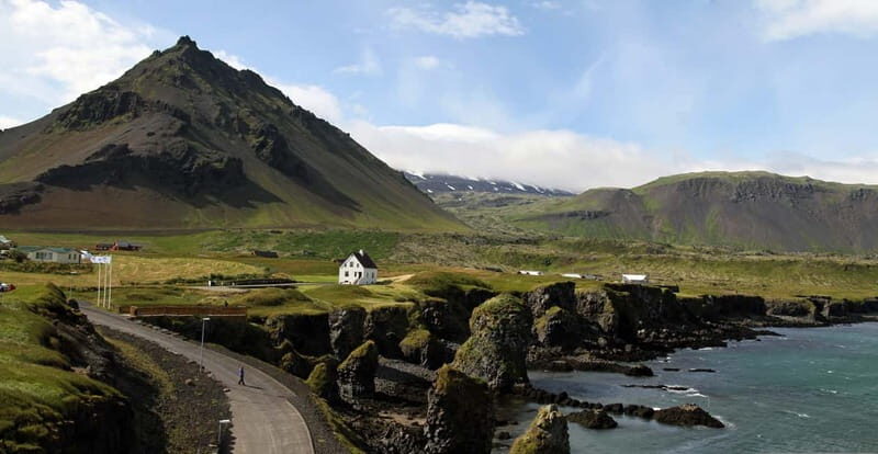 Akureyri: Private Whale Watching and Arctic Coastline Tour - Who Will Love This Tour?