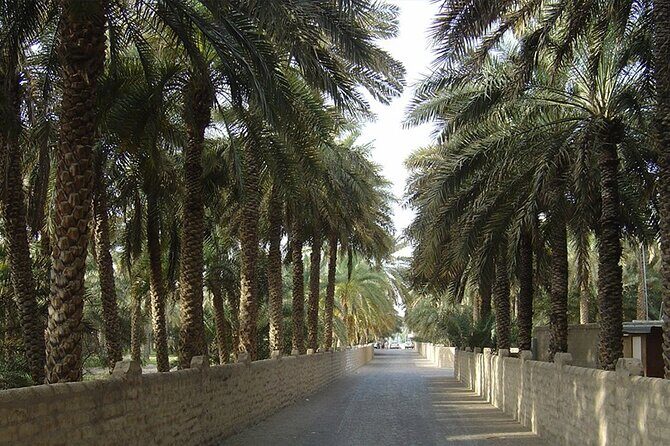 Al Ain Oasis Tour with Pickup and Drop off - Discovering the Al Ain Oasis